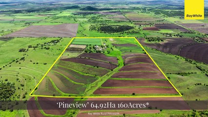 Pineview, Rossvale, Qld | January 30, 2025 | Farmonline
