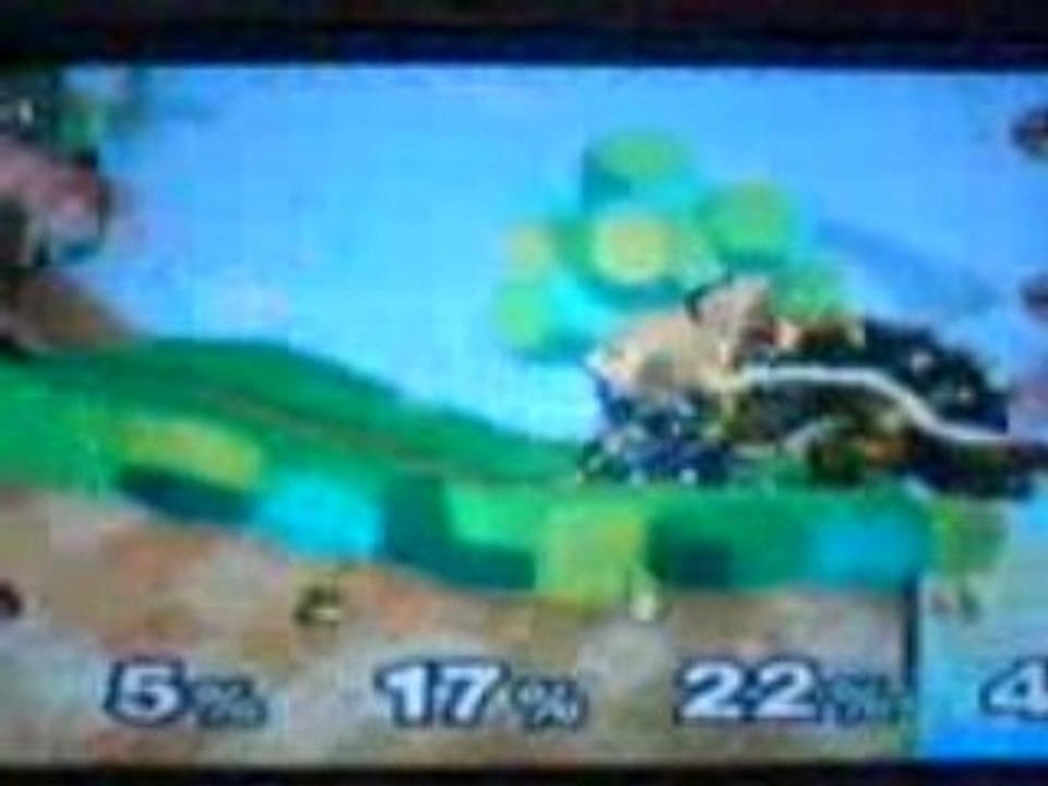 Reportage Game One : GBA-NGC