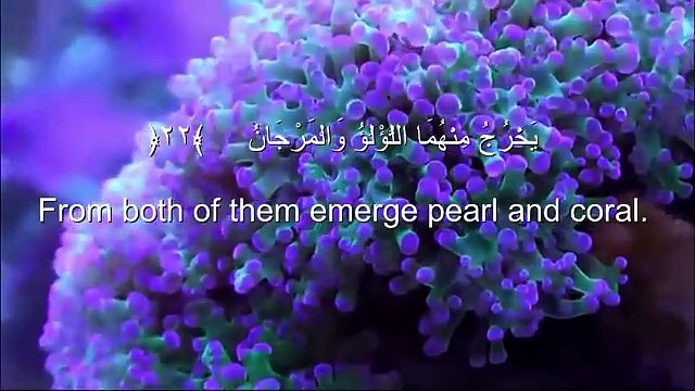 Ahmad Khedr Surah Ar-Rahman heart melting voice❤️ Soothing Quran Recitation. سورة الرحمان