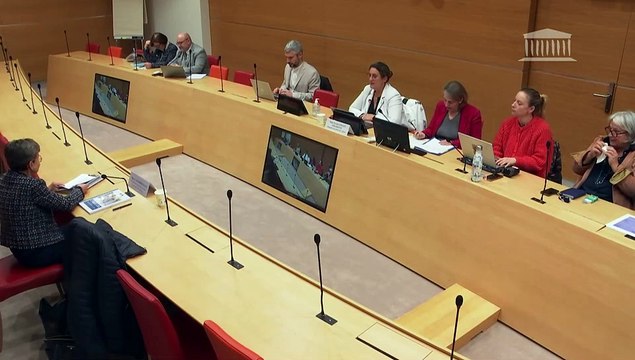 Délégation aux droits des enfants : Mme Catherine Champrenault, présidente du groupe de travail sur la prostitution des mineurs - Mercredi 29 janvier 2025