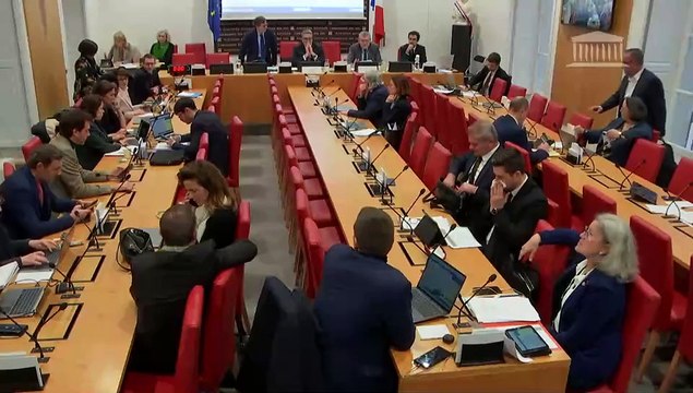Commission des lois : Renforcer l’arsenal législatif face à la multiplication d'actions d'entrave à des activités agricoles (suite) ; Abroger le titre de séjour pour étranger malade - Mercredi 29 janvier 2025