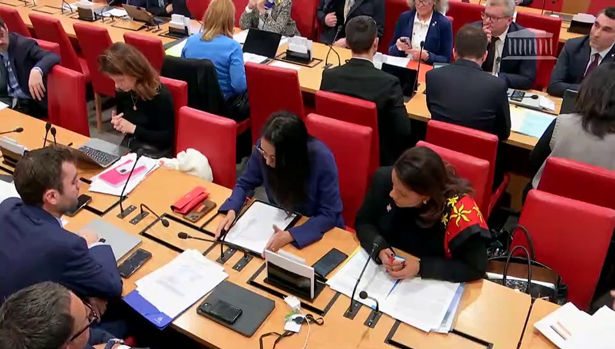 Commission des lois : Renforcer les conditions d'accès à la nationalité française à Mayotte ; Renforcer l’arsenal législatif face à la multiplication d'actions d'entrave à des activités agricoles - Mercredi 29 janvier 2025