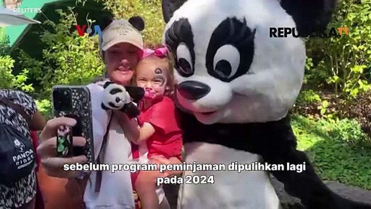 Diplomasi Panda di Tengah Buruknya Hubungan AS-Tiongkok