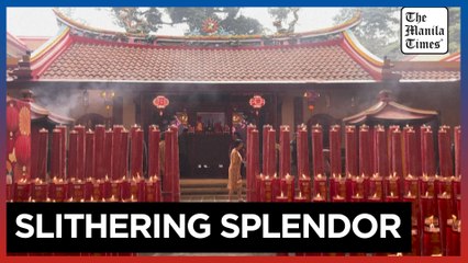 Hundreds of millions in Asia welcome the Year of the Snake