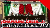 ¡CHAPULINA CULER…! ¡AMALIA GARCÍA RECIBE BRUTAL LECCIÓN del SENADOR REYES por COLGARSE de la 4T!