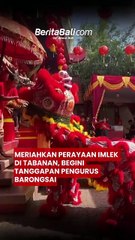 Meriahkan Perayaan Imlek di Tabanan, Begini Tanggapan Pengurus Barongsai