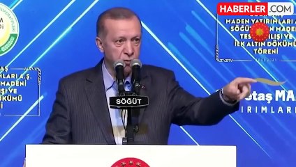 Cumhurbaşkanı Erdoğan'ın kameralar önünde azarladığı vali, kayyum olarak atandı