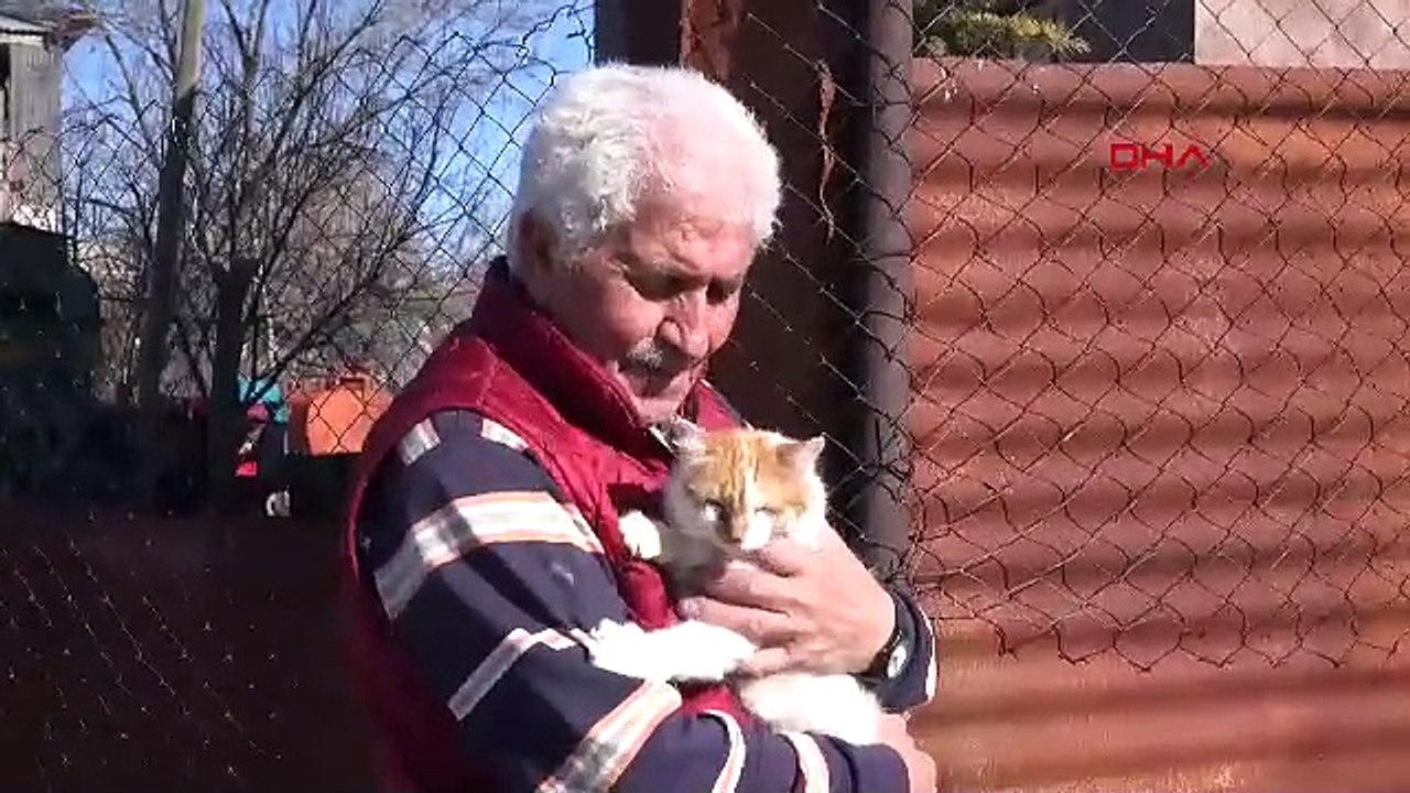 ELAZIĞ - Emekli olup köyüne yerleşti, 29 köpek ve 30'dan fazla kediye bakıyor (VİDEO EKLENDİ)