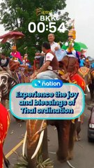 Experience the joy and blessings of Thai ordination