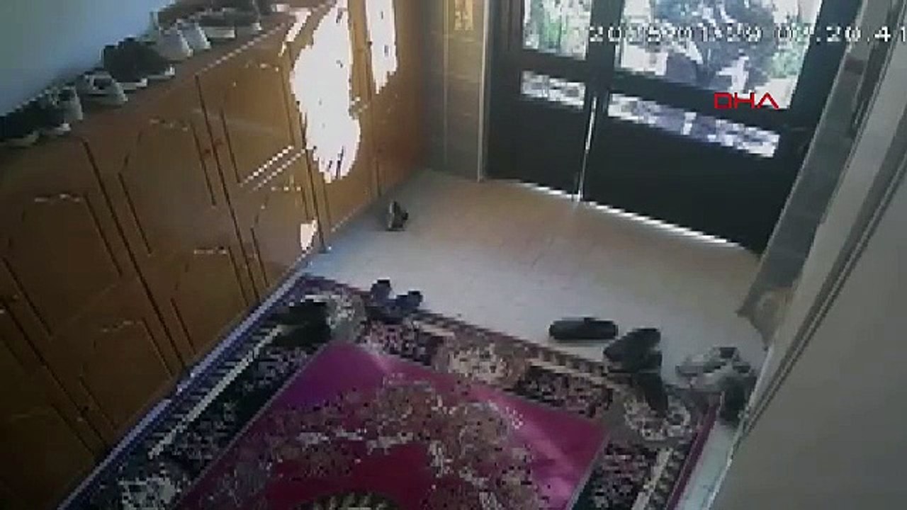 İstanbul- Sultangazi’de ayakkabı hırsızlığı kamerada