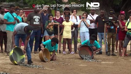 Sao Tome ve Prinsipe'de yavru deniz kaplumbağaları destansı yolculuğa çıkıyor