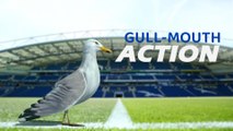 Gull-Mouth Action podcast - episode 62 | Everton, Ferguson, Forest and a lot happening at Crawley To