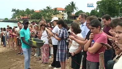 À São Tomé, des touristes se rassemblent pour assister à la libération de 400 bébés tortues dans la mer