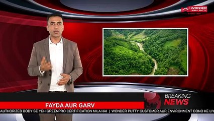 Best Wall Putty for Home & Commercial Spaces – Crack-Free