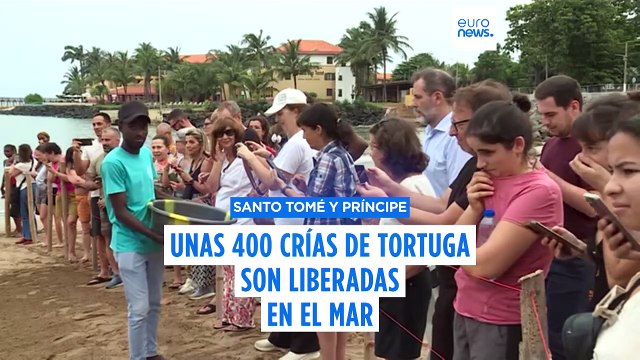 Cientos de crías de tortuga son liberadas en el mar en Santo Tomé y Príncipe