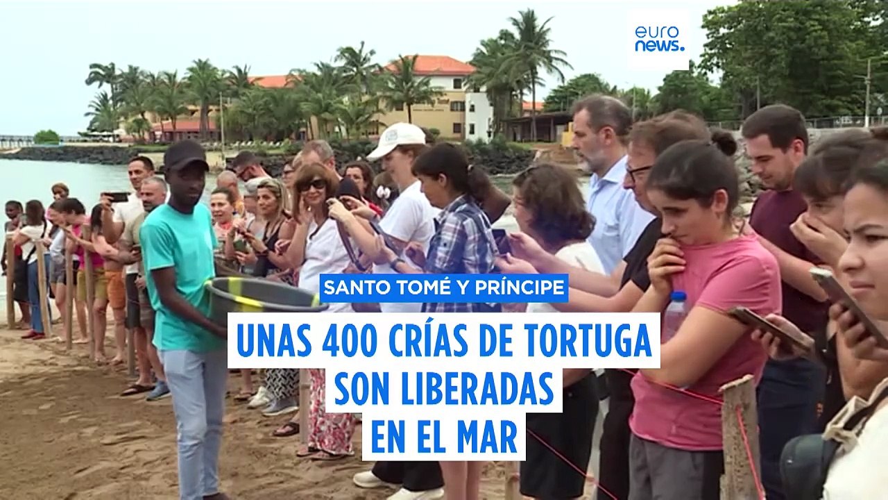 Cientos de crías de tortuga son liberadas en el mar en Santo Tomé y Príncipe