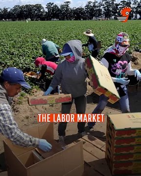 Trump Deportation’s Hidden Cost: Billions Lost and Jobs at Risk