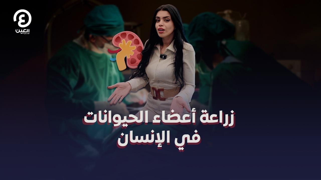 زراعة أعضاء الحيوانات في الإنسان