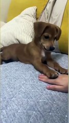 You are extremely uncomfortable🤨