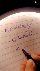 #lines_#standwithkashmer_#sadurdu_#urdu_#ghazal_#urdupoetry_#2line_#2linepoetr(720p)