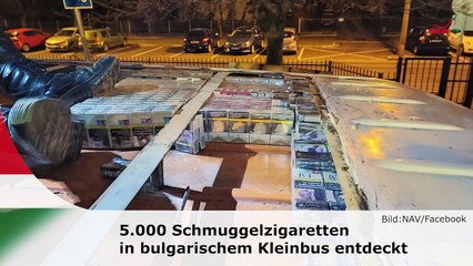 hallo ungarn - Kurznachrichten am 30.01.2025