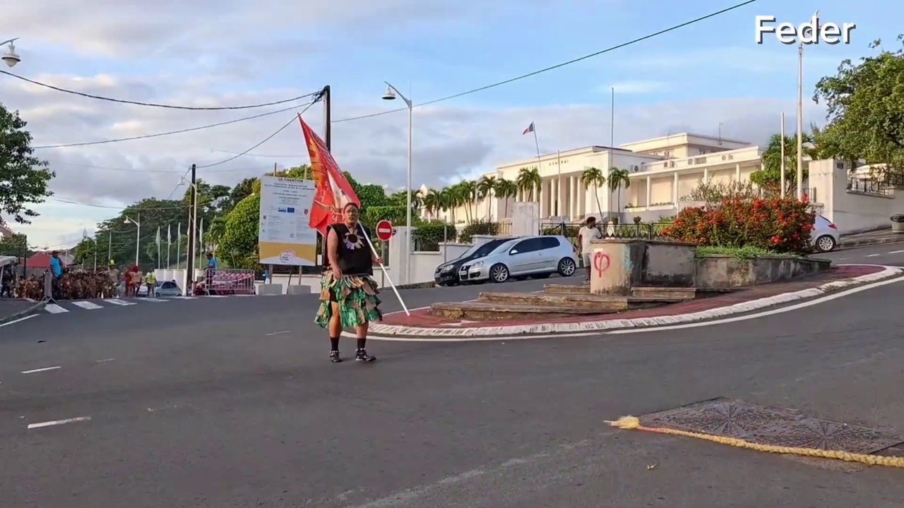 #Carnaval de #Guadeloupe porte drapeau