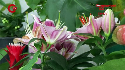 Siyasiler ve ünlüler adına kendi nişanına 312 bin liralık çelenk gönderdi; parasını da ödemedi