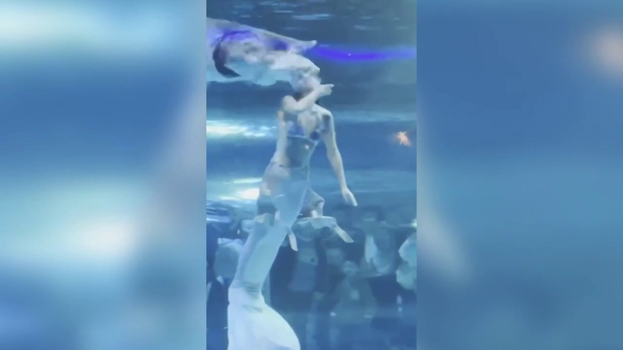 Il grosso pesce ferisce la sirena