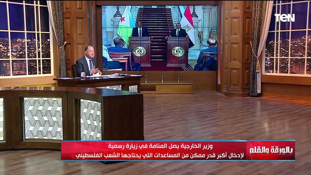 نشاط ملحوظ لوزير الخارجية والعديد من اللقاءات والزيارات من أجل فلسطين