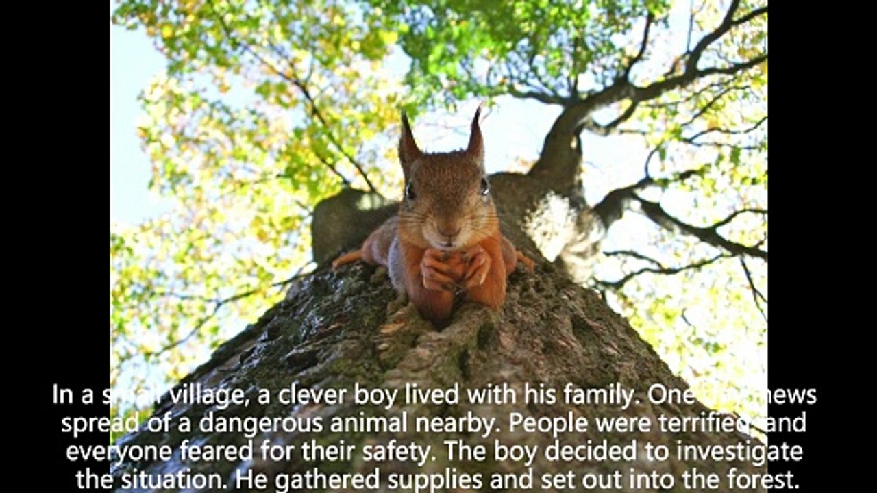 clever boy and jungle