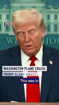 Trump blames diversity for Washington plane crash