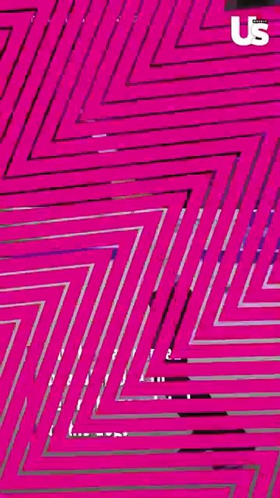 U.S. Skater Clarifies Report Dog Stopped Him From Boarding Fatal D.C. Flight