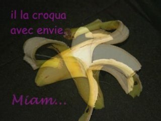 art plas, photorécit d'une banane