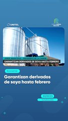 Garantizan derivados de soya hasta febrero