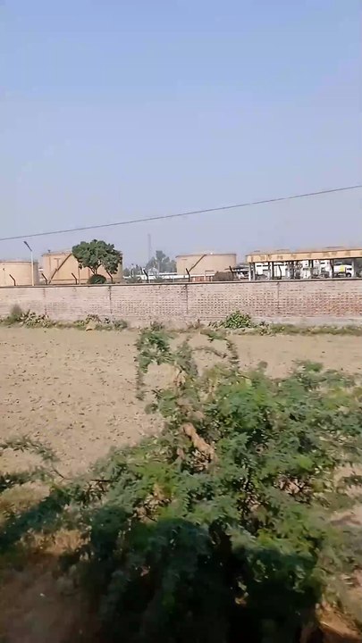VID_20241104_113328