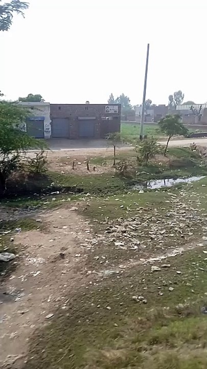 VID_20241104_115916