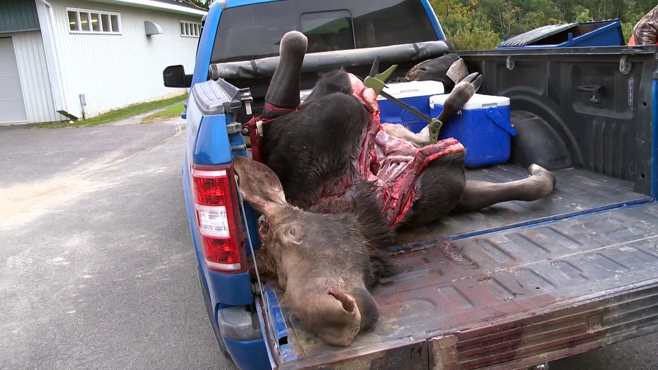 30 janv TOPO LPM Bilan chasse v2