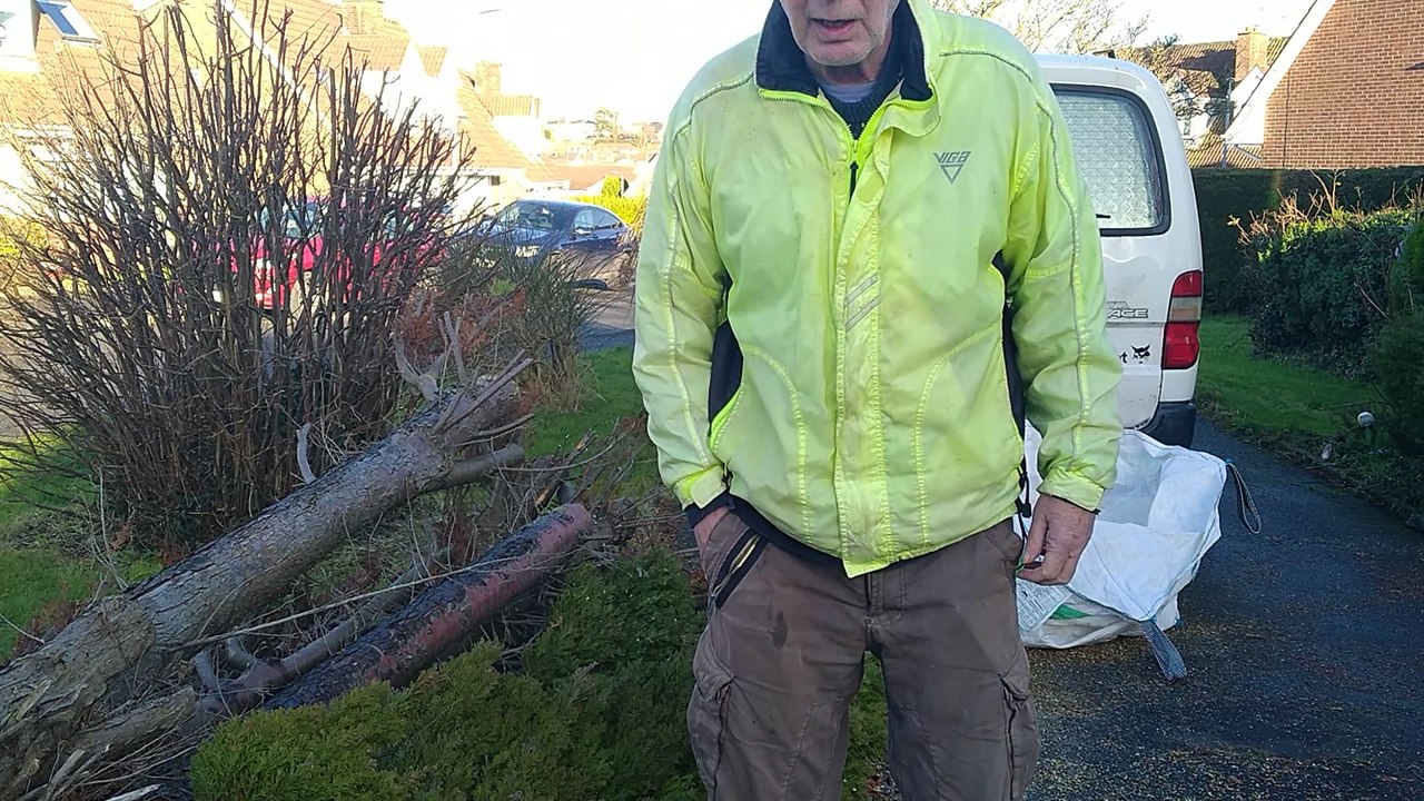 VID20250130144513 The Tools i used to cut up a large tree in your Garden weighing about one tonne.