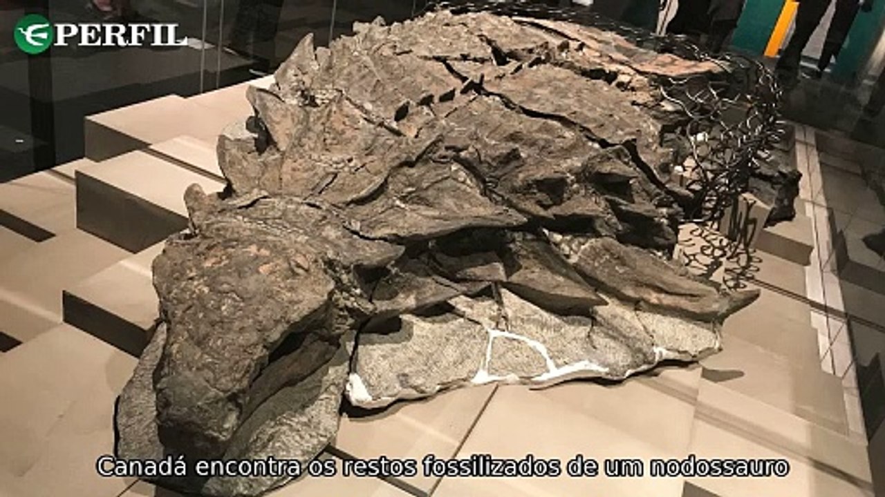 "Milagre de Juazeiro: O Mistério do Dinossauro 'Blindado' e a Tragédia na Suécia"