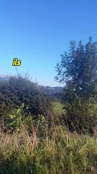 Je supprime de ma vie ceux qui suppriment mon sourire #motivation #conseils