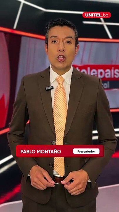 Una diputada nacional denunció que 13 contenedores llegarán al país con un envío destinado al Banco Central de Bolivia.