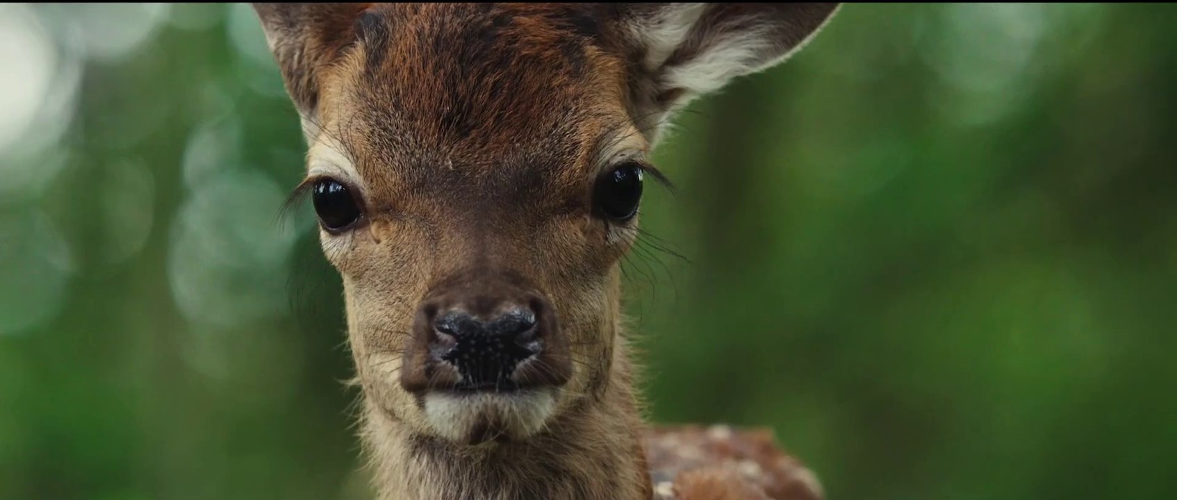 Bambi: Eine Lebensgeschichte aus dem Walde - Trailer (Deutsch) HD