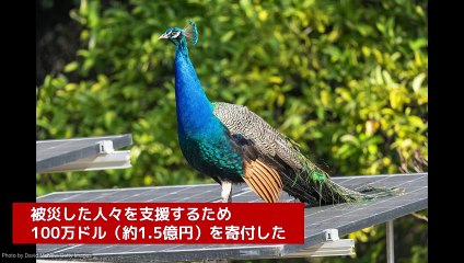 クリス・ステイプルトン夫妻、LA山火事復興支援に100万ドルを寄付