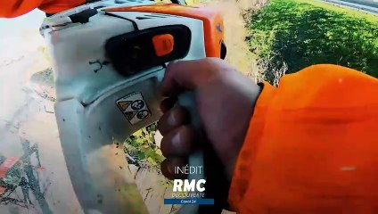 Bûcheron : un métier à hauts risques