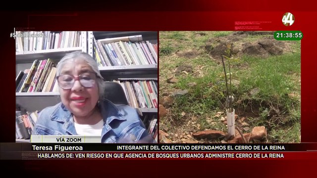 Riesgos de que el Cerro de la Reina sea administrado por la Agencia de Bosques Urbanos