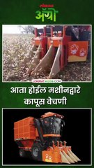 Cotton Harvester Viral Video - कापूस वेचणीचं मशीन आलं शेतात; कशी होते कापूस वेचणी?
