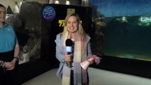 World famous penguin turns one at Melbourne Aquarium