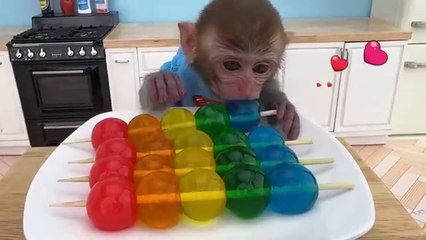 Monkey Baby Bon Bon eats rainbow jelly with puppies and bathes with ducklings in the bathroom