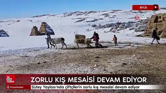 Bitlis'te çiftçilerin zorlu kış mesaisi devam ediyor