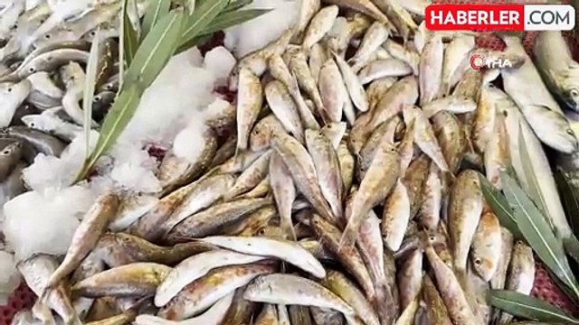 Karadeniz'de Palamut Sezonu Yeniden Açıldı